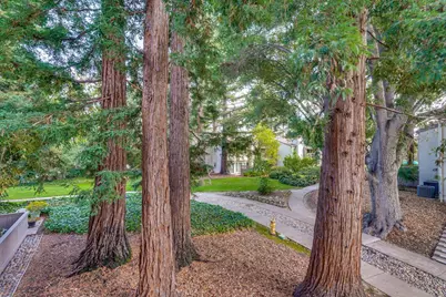 19423 Vineyard Ln, Saratoga, CA 95070 - Photo 51