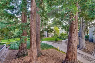 19423 Vineyard Ln, Saratoga, CA 95070 - Photo 51