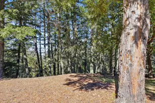 24595 Skyland Rd, Los Gatos, CA 95033 - Photo 55
