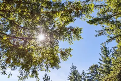 24595 Skyland Rd, Los Gatos, CA 95033 - Photo 63