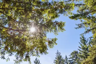 24595 Skyland Rd, Los Gatos, CA 95033 - Photo 63