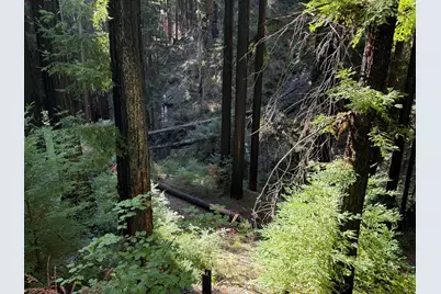 449 Band Rd, Boulder Creek, CA 95006 - Photo 3