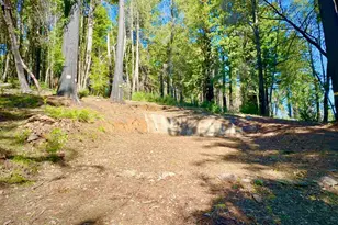 80 Conifer Ln, Santa Cruz, CA 95060 - Photo 1