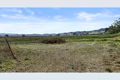 547 Mission Vineyard Rd, San Juan Bautista, CA 95045 - Photo 3