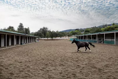 15288 Via Pinto, Monte Sereno, CA 95030 - Photo 61