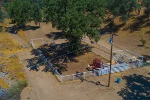 20505 Coalinga Rd, Paicines, CA 95043 - Photo 7