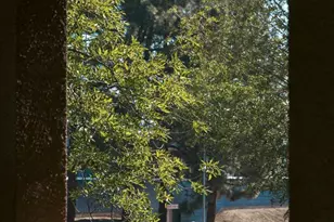 1836 Camino Leonor, San Jose, CA 95131 - Photo 43