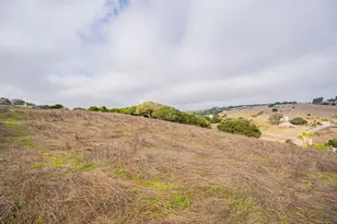 15108 Castroville Blvd, Castroville, CA 95012 - Photo 17