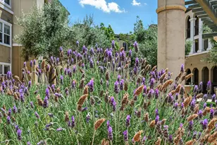 1883 Agnew Rd 367, Santa Clara, CA 95054 - Photo 67