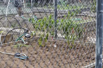 1016 Shoreline Dr, San Mateo, CA 94404 - Photo 47