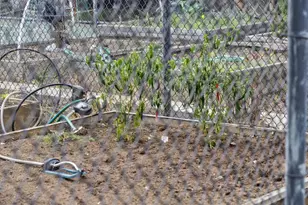 1016 Shoreline Dr, San Mateo, CA 94404 - Photo 47