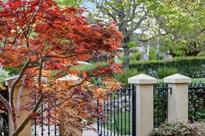 1215 Tournament Dr, Hillsborough, CA 94010 - Photo 9