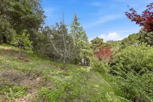 1215 Tournament Dr, Hillsborough, CA 94010 - Photo 181