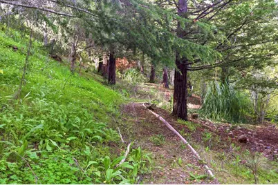 1215 Tournament Dr, Hillsborough, CA 94010 - Photo 183