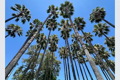 88 Bush St 3152, San Jose, CA 95126 - Photo 41