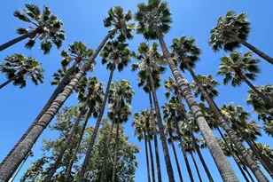 88 Bush St 3152, San Jose, CA 95126 - Photo 41