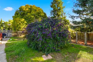 2594 San Juan Rd, Aromas, CA 95004 - Photo 31