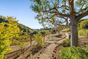 153 Castillo Ct, Aptos, CA 95003 - Photo 33