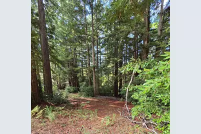 1140 Warren Dr, Santa Cruz, CA 95060 - Photo 21