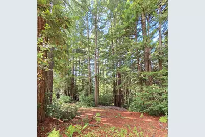 1140 Warren Dr, Santa Cruz, CA 95060 - Photo 15