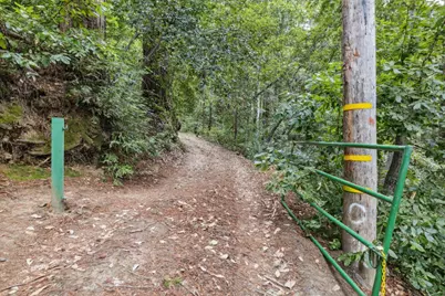 1365 Caledonia Ave, Ben Lomond, CA 95005 - Photo 15