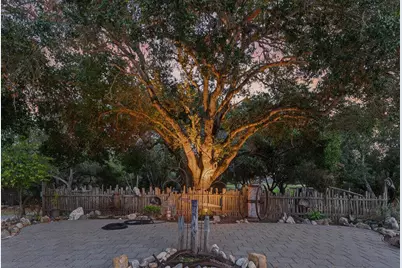 3485 Stable Ln, Santa Cruz, CA 95065 - Photo 67