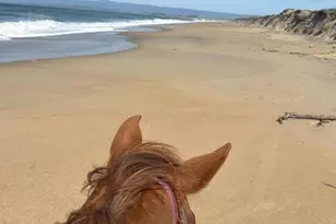 3485 Stable Ln, Santa Cruz, CA 95065 - Photo 9