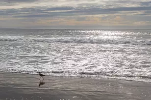 101 Shell Dr 45, La Selva Beach, CA 95076 - Photo 53