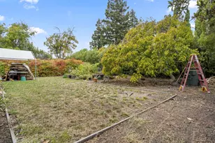 2262 Louis Rd, Palo Alto, CA 94303 - Photo 19