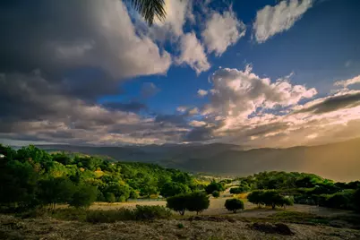 320 El Caminito Rd, Carmel Valley, CA 93924 - Photo 29