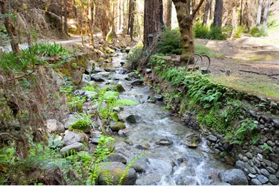 11810 Clear Creek, Brookdale, CA 95007 - Photo 17