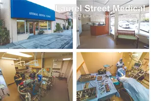 987 Laurel St, San Carlos, CA 94070 - Photo 5