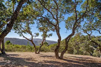 9 Corral Run, Carmel, CA 93923 - Photo 11