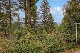 21577 Locust Dr, Los Gatos, CA 95033 - Photo 43