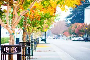 100 E Middlefield Rd 6G, Mountain View, CA 94043 - Photo 33