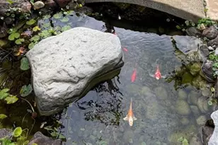 131 30th Ave, Santa Cruz, CA 95062 - Photo 25