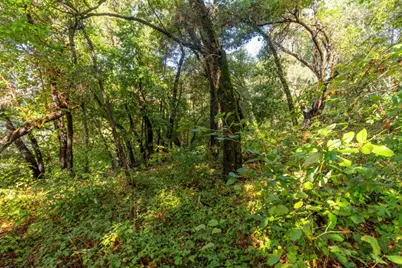 Lot 53 Lakeview Ave, Felton, CA 95018 - Photo 9