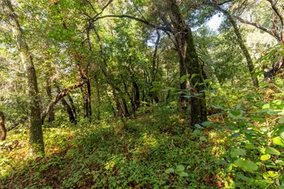 Lot 53 Lakeview Ave, Felton, CA 95018 - Photo 11