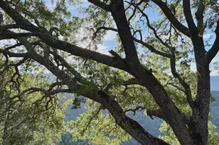 0 Via Vespero, San Jose, CA 95120 - Photo 3