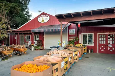 7610 Miller Ave, Gilroy, CA 95020 - Photo 37