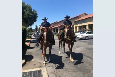 7610 Miller Ave, Gilroy, CA 95020 - Photo 49