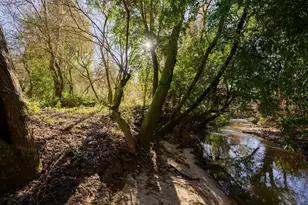 515 Lockhart Gulch Rd, Scotts Valley, CA 95066 - Photo 71