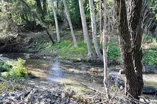 515 Lockhart Gulch Rd, Scotts Valley, CA 95066 - Photo 69