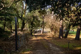 515 Lockhart Gulch Rd, Scotts Valley, CA 95066 - Photo 9