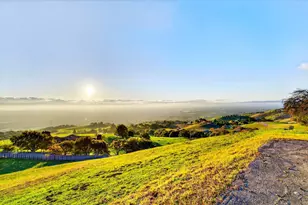 4393 Quimby Rd, San Jose, CA 95148 - Photo 39