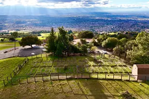 4393 Quimby Rd, San Jose, CA 95148 - Photo 35