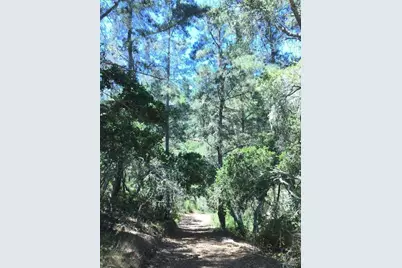 64 Marguerite (Tehama), Carmel, CA 93923 - Photo 7