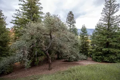 1464 Bullion Cir, San Jose, CA 95120 - Photo 11