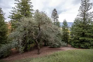 1464 Bullion Cir, San Jose, CA 95120 - Photo 11