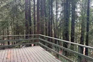 111 Sylvan Way, La Honda, CA 94020 - Photo 13